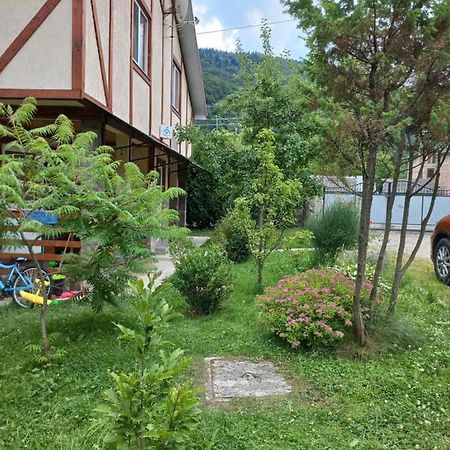 Zelena Sadyba Bila Stavka Jaremtsche Exterior foto