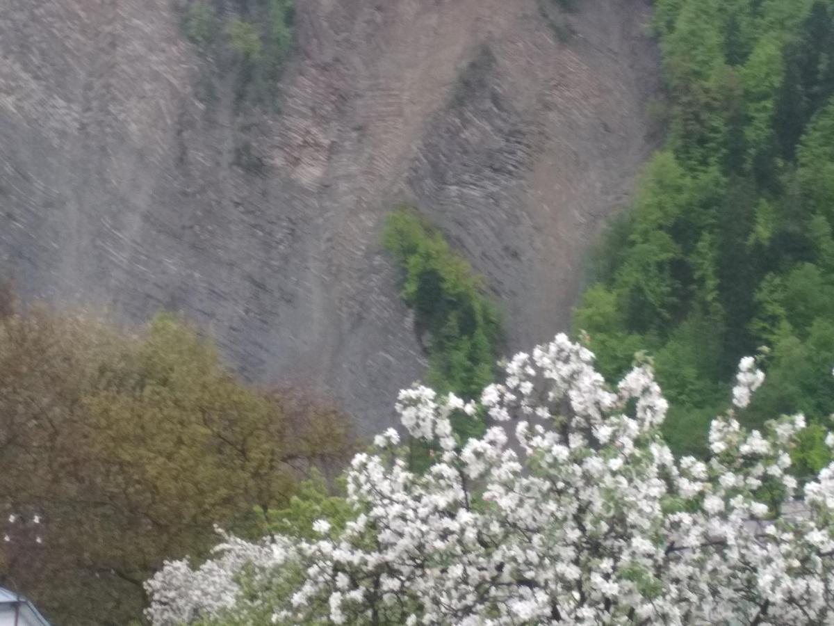 Zelena Sadyba Bila Stavka Jaremtsche Exterior foto