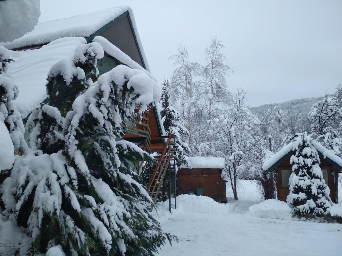 Zelena Sadyba Bila Stavka Jaremtsche Exterior foto