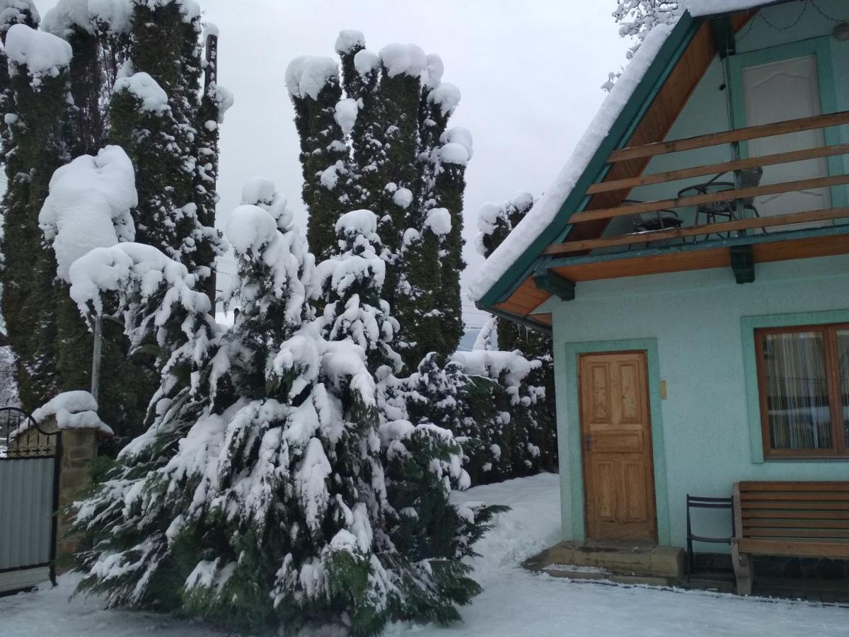 Zelena Sadyba Bila Stavka Jaremtsche Exterior foto