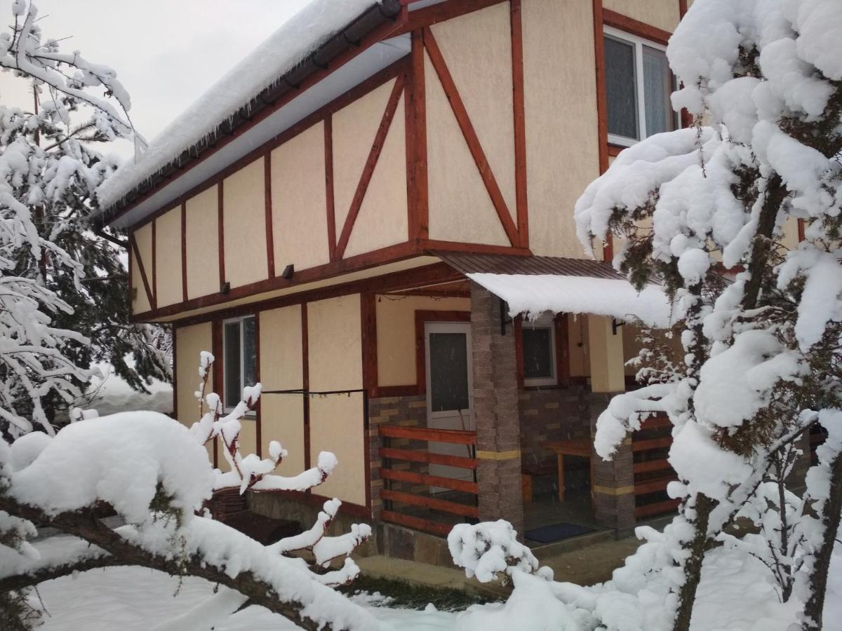 Zelena Sadyba Bila Stavka Jaremtsche Exterior foto