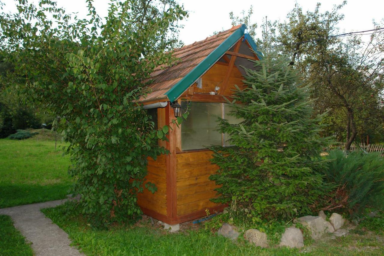 Zelena Sadyba Bila Stavka Jaremtsche Exterior foto